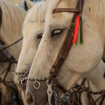 The Originals City, Napoléon, 3* La Roche-sur-Yon