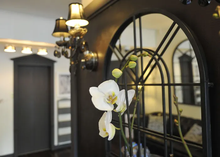 The Originals City, Napoleon,